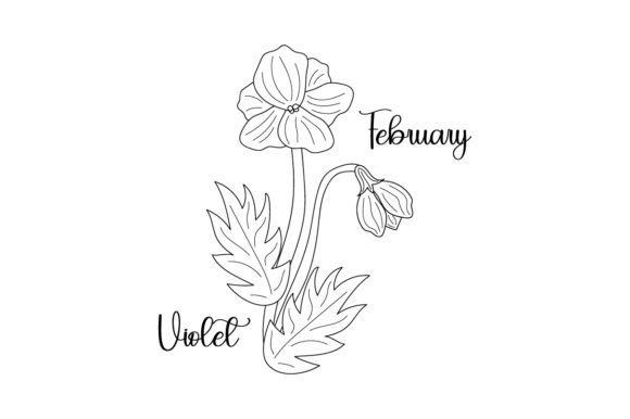 Birth Month Flowers - February - Violet