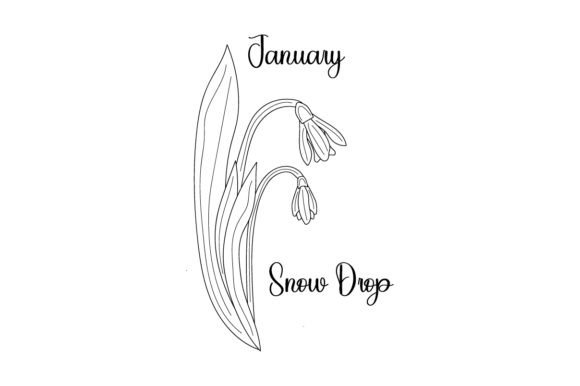 Birth Month Flowers - January - Snow Drop