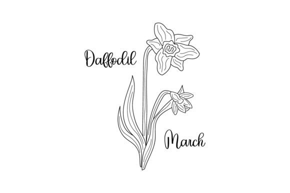 Birth Month Flowers - March - Daffodil