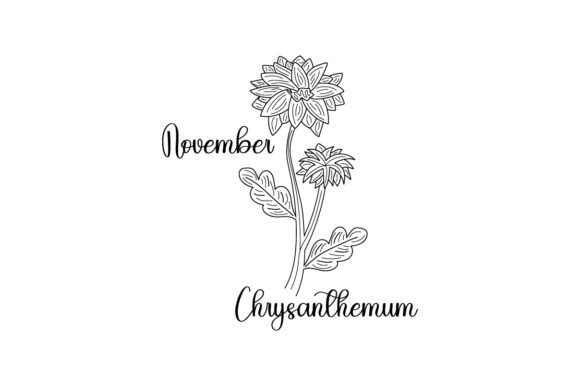 Birth Month Flowers - November - Chrysanthemum